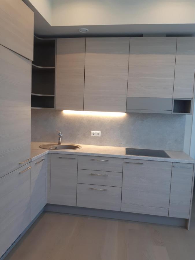 Apartment In Druskininkai City Centre Dış mekan fotoğraf