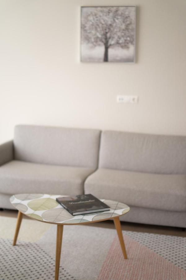 Apartment In Druskininkai City Centre Dış mekan fotoğraf